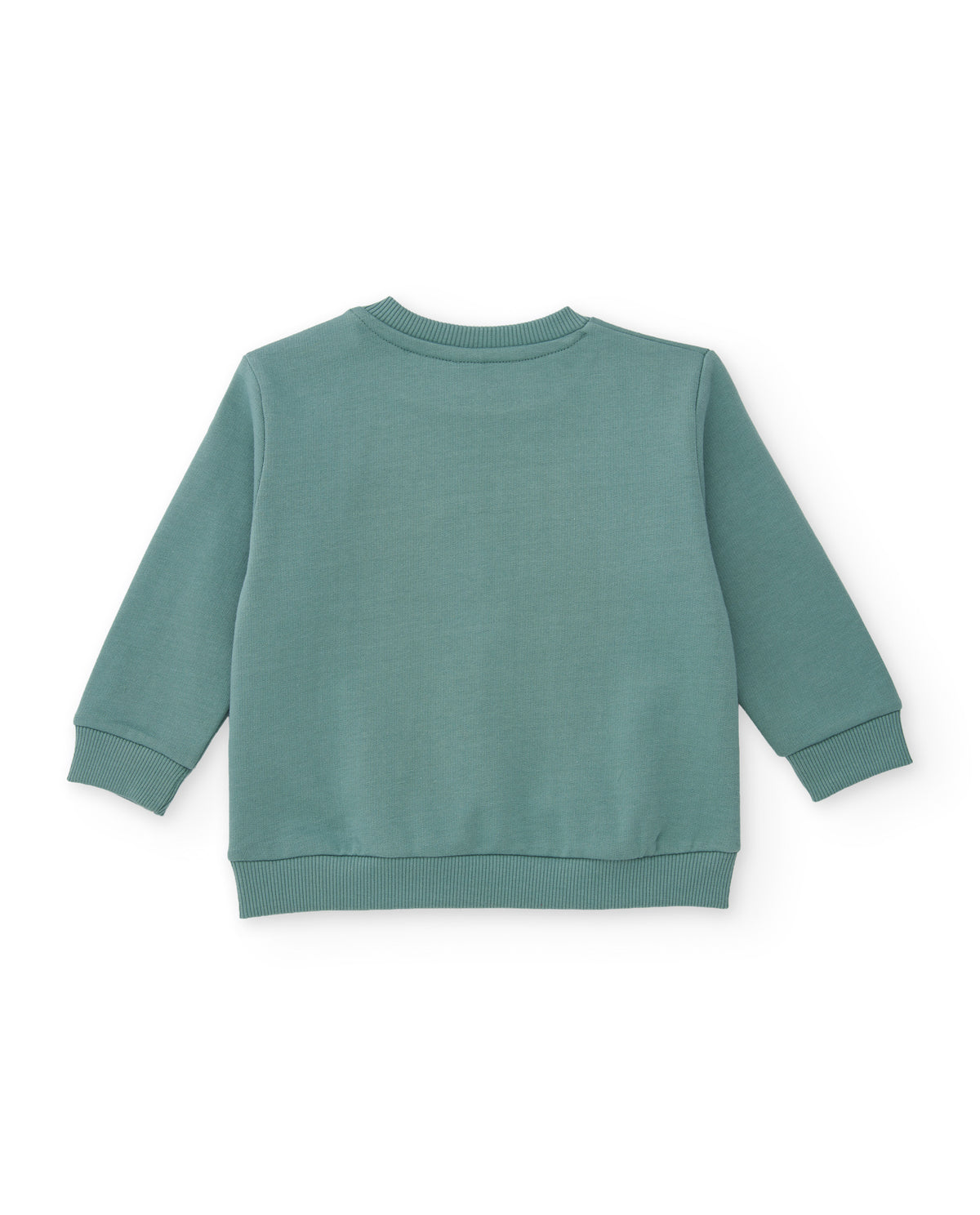 Sweatshirt arkadan; baskısız düz çağla yeşili gövde, ribanalı kol uçları ve etek ucu görünüyor.