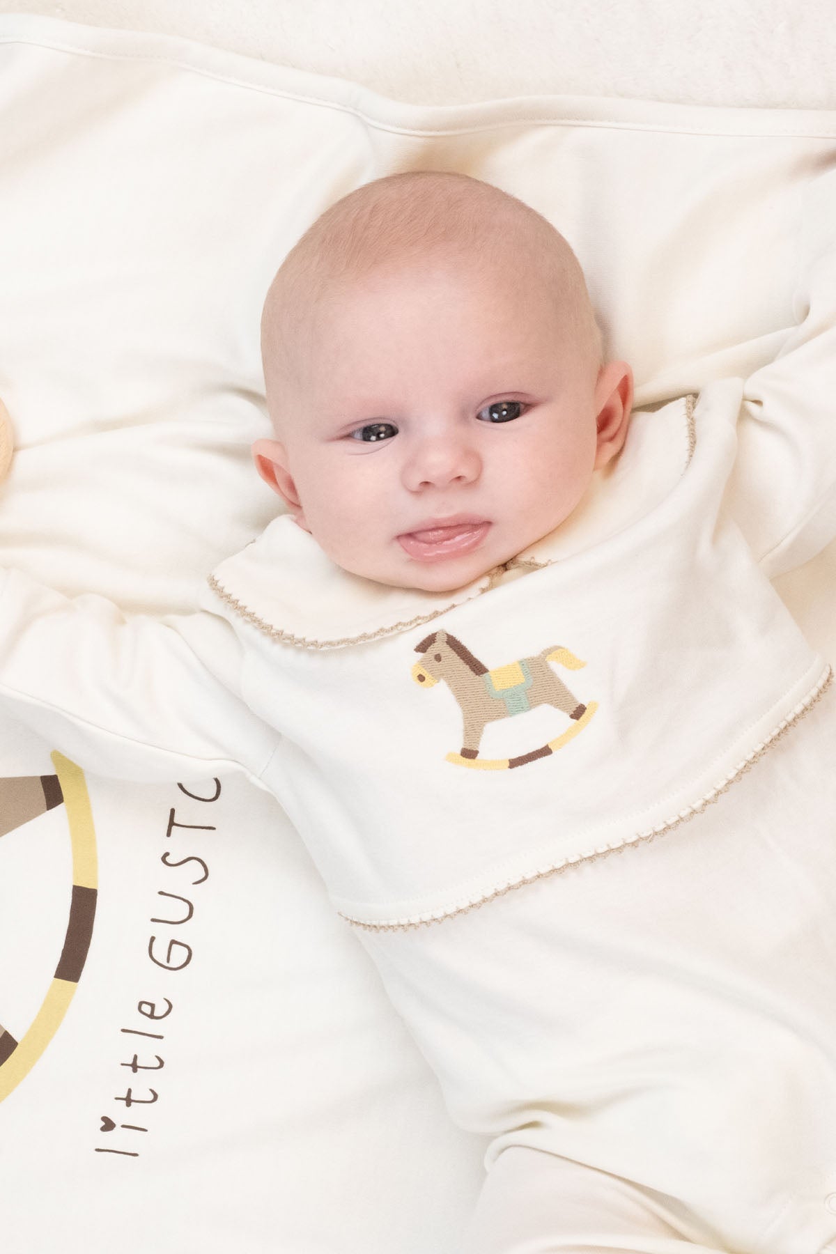 Organik Pamuk Bebe Yakalı Tulum Playtime Tay Nakışlı