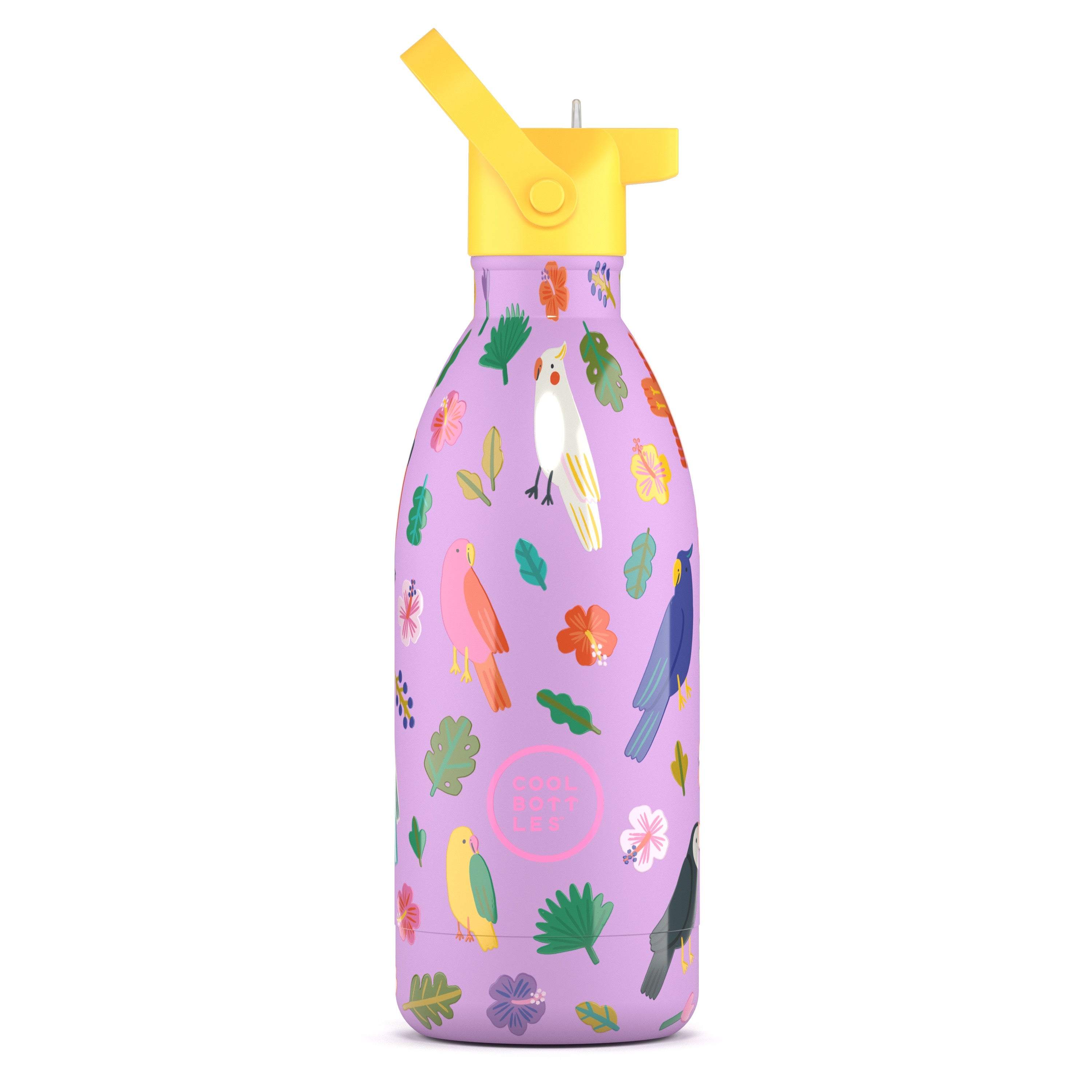 Cool Bottles Kids 500 ml – Fly Free