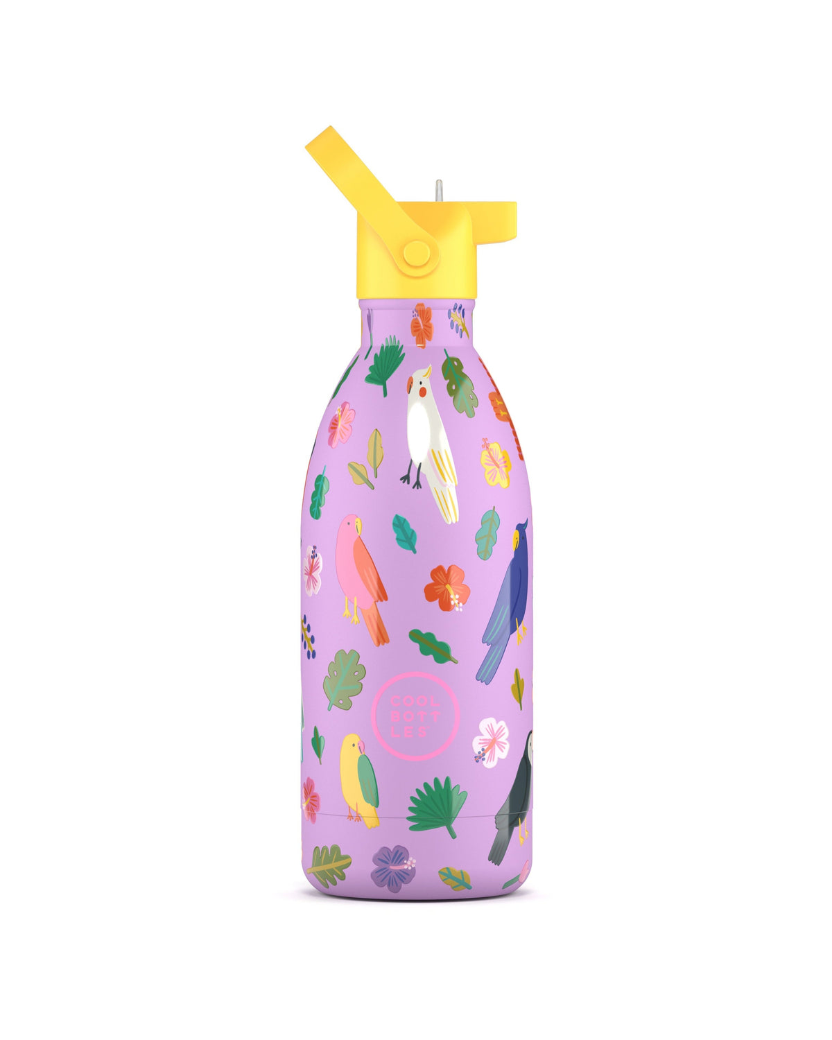 Cool Bottles Kids Fly Free balon ve kuş desenli 500 ml çelik çocuk suluğu, pipetli kapak takılı