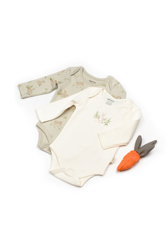 BabyCosy Organik Pamuk 2'li Uzun Kollu Body - Riki Baby&Kids