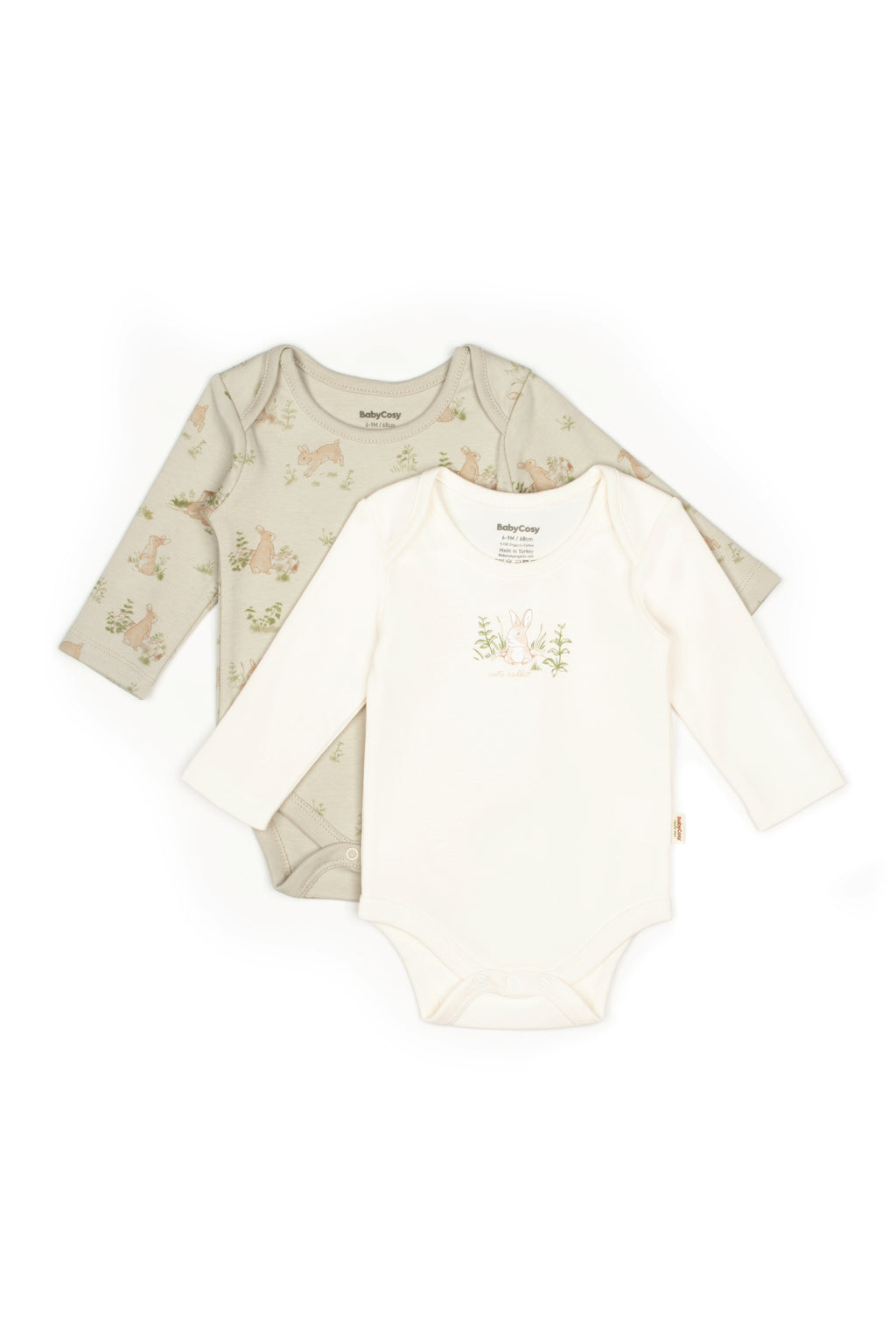 BabyCosy Organik Pamuk 2'li Uzun Kollu Body - Riki Baby&Kids
