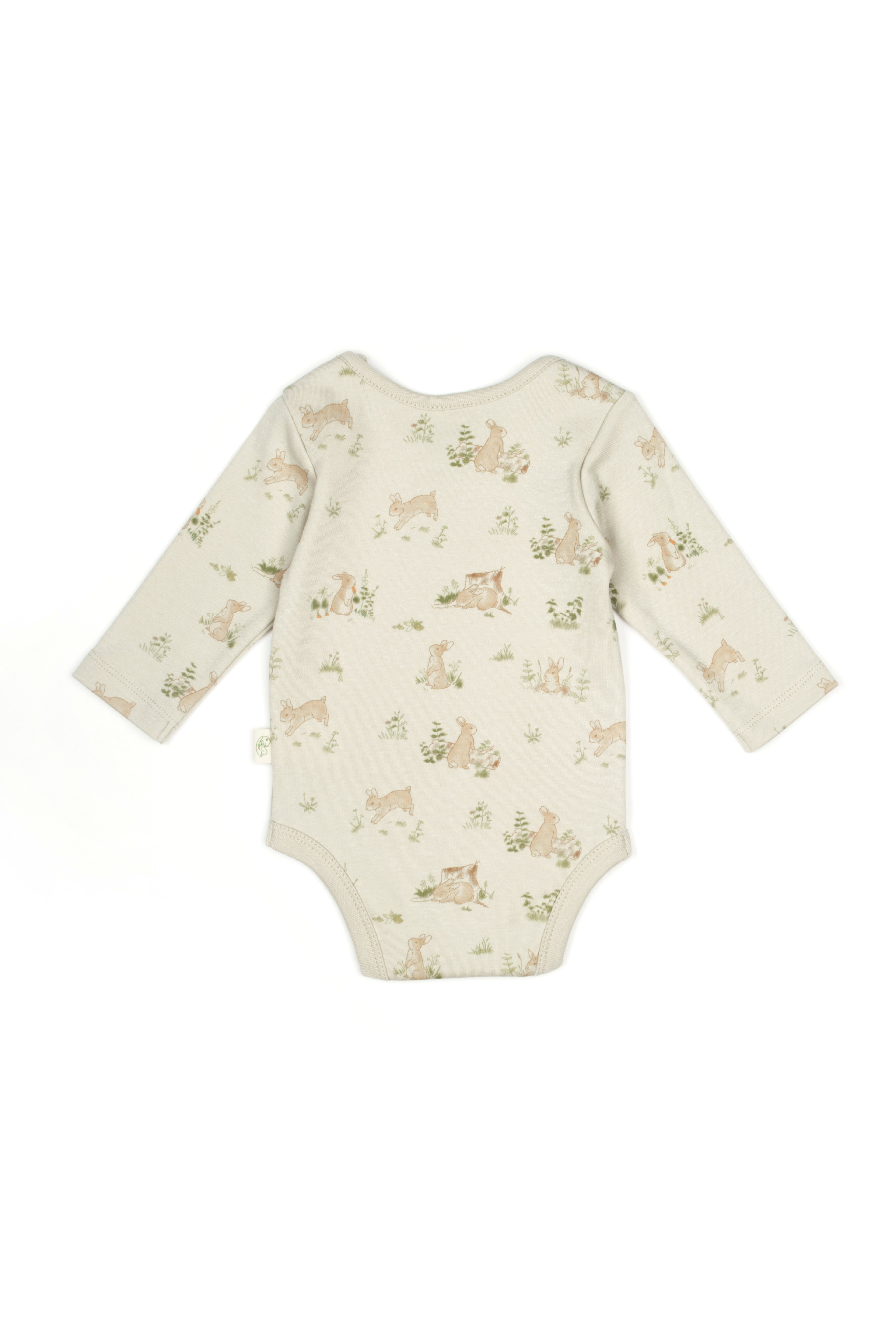 BabyCosy Organik Pamuk 2'li Uzun Kollu Body - Riki Baby&Kids