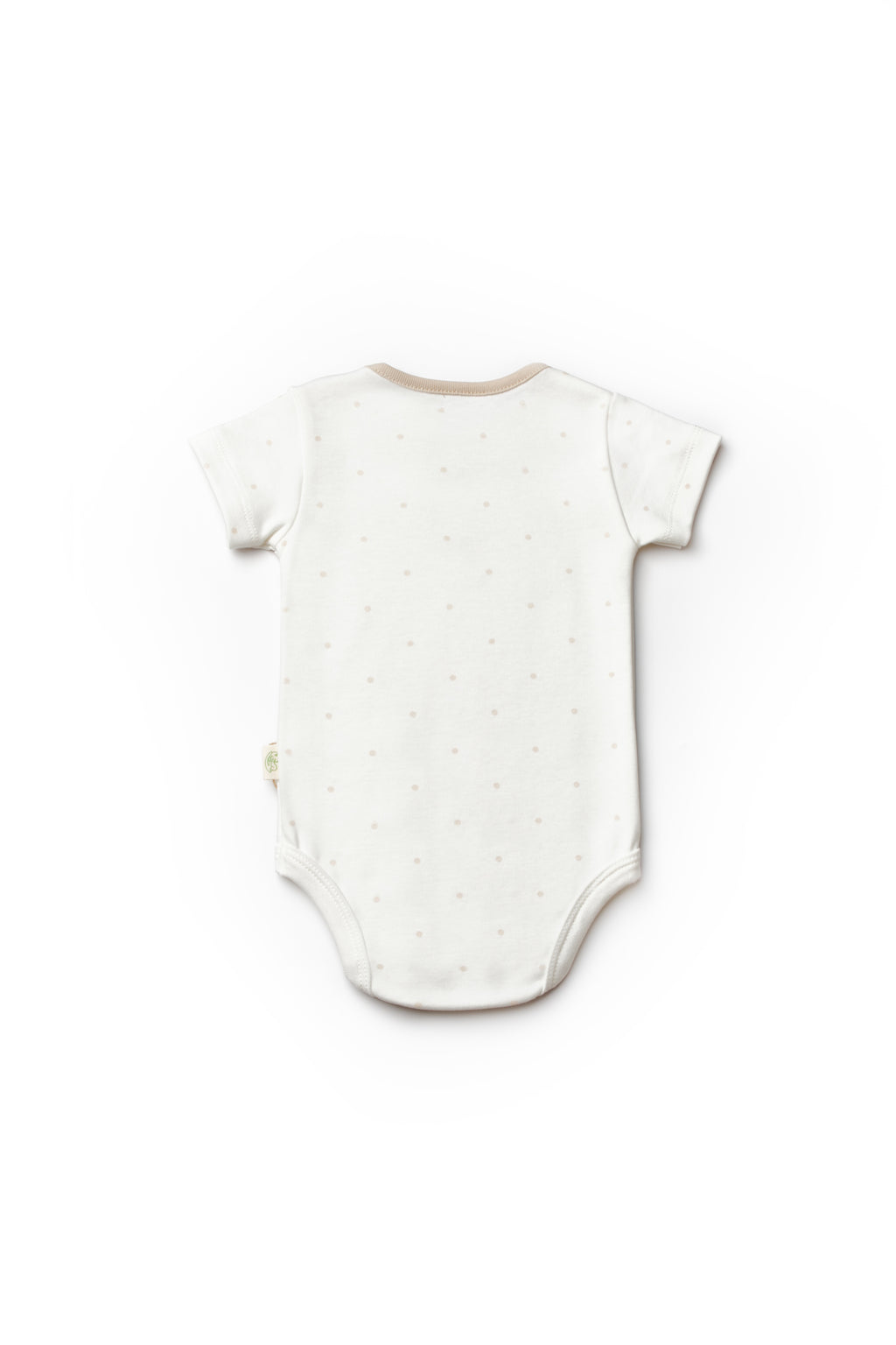 Organik Pamuk Teddy Bear 2'li Kısa Kollu Body Set