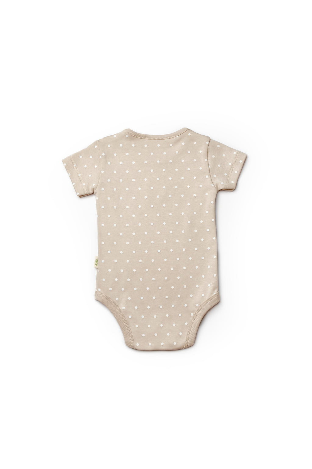 Organik Pamuk Teddy Bear 2'li Kısa Kollu Body Set