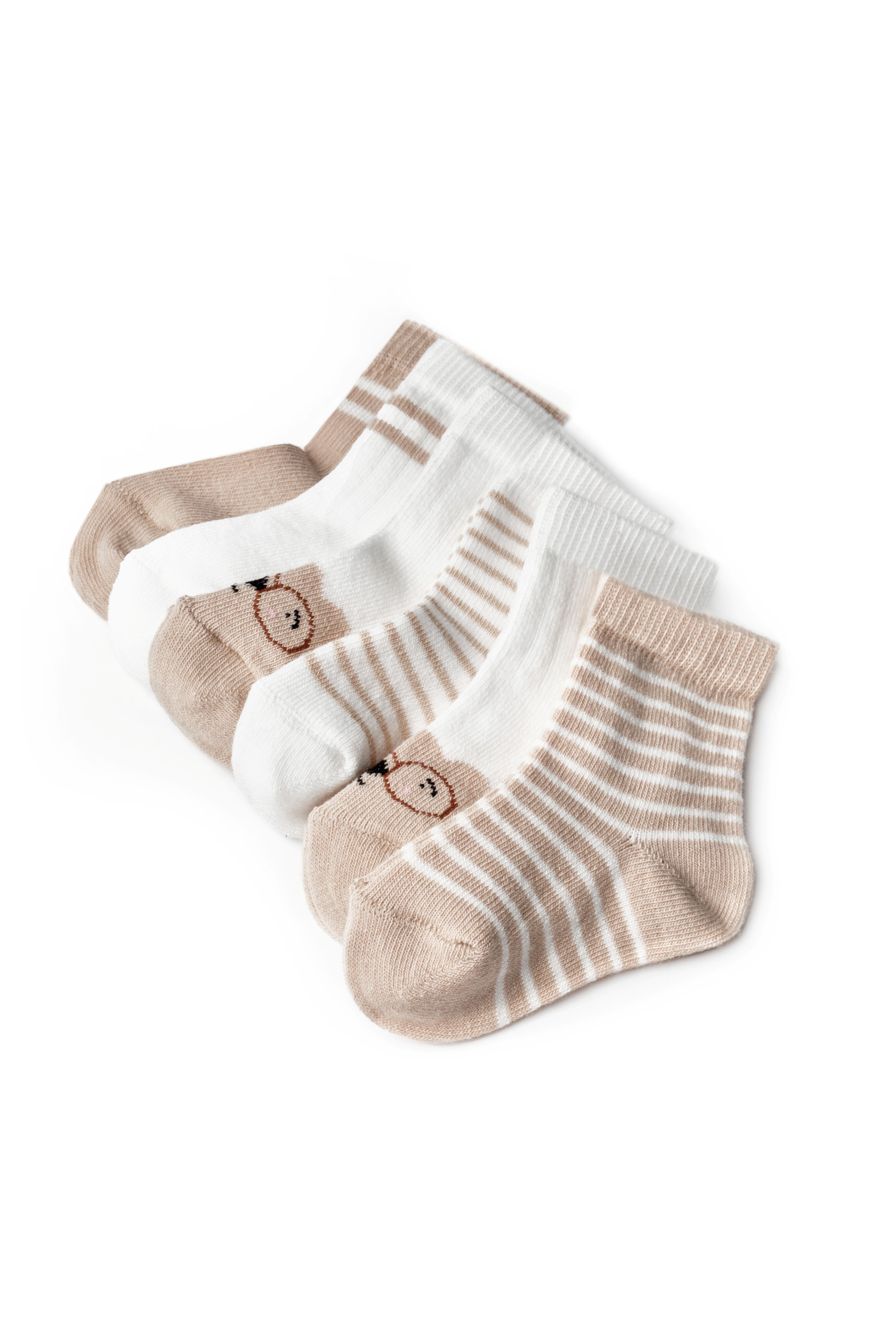 Organik Pamuk Teddy Bear Kutulu 6'lı Bebek Çorap Seti