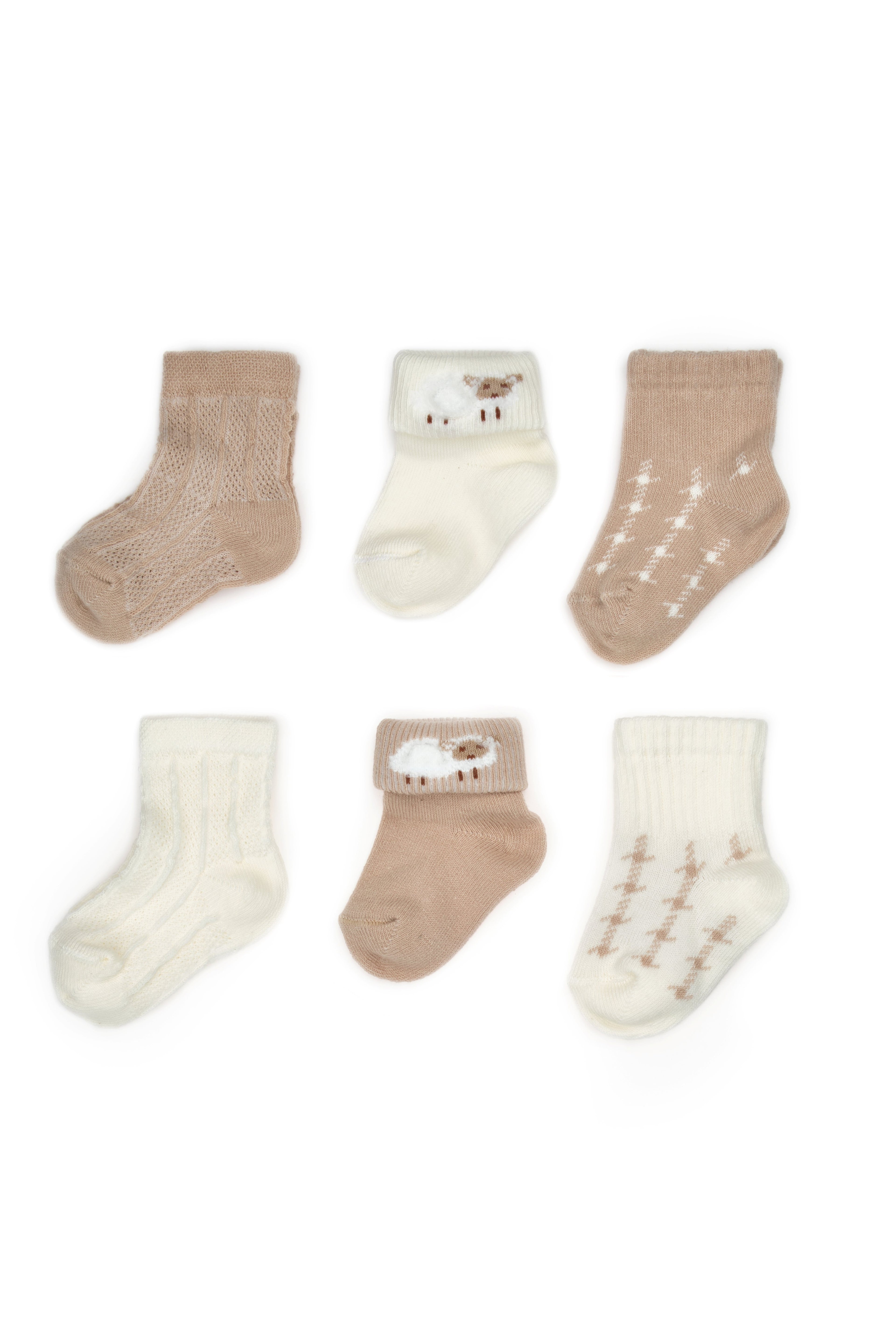 Organik Pamuk Lamb 6’lı Kutulu Çorap Seti