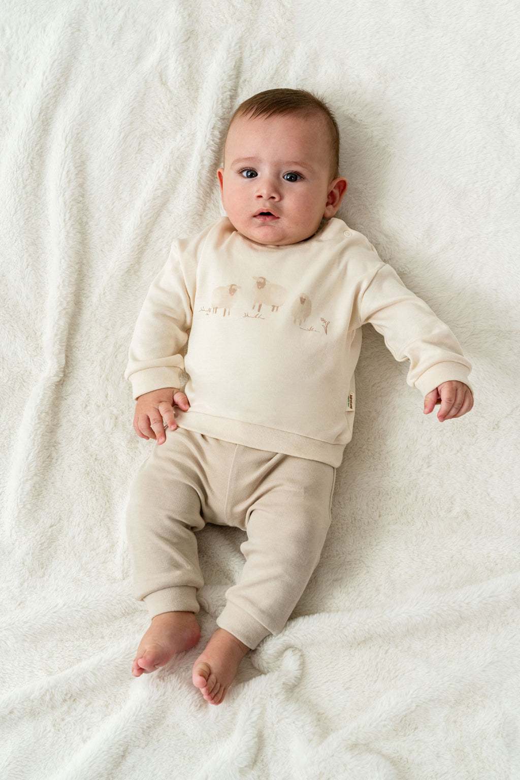 Organik Pamuk Kuzu Desenli 2’li Bebek Takım – Lamb Koleksiyonu