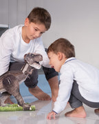 İki erkek çocuk yerde kurulmuş T-Rex modeliyle oynuyor