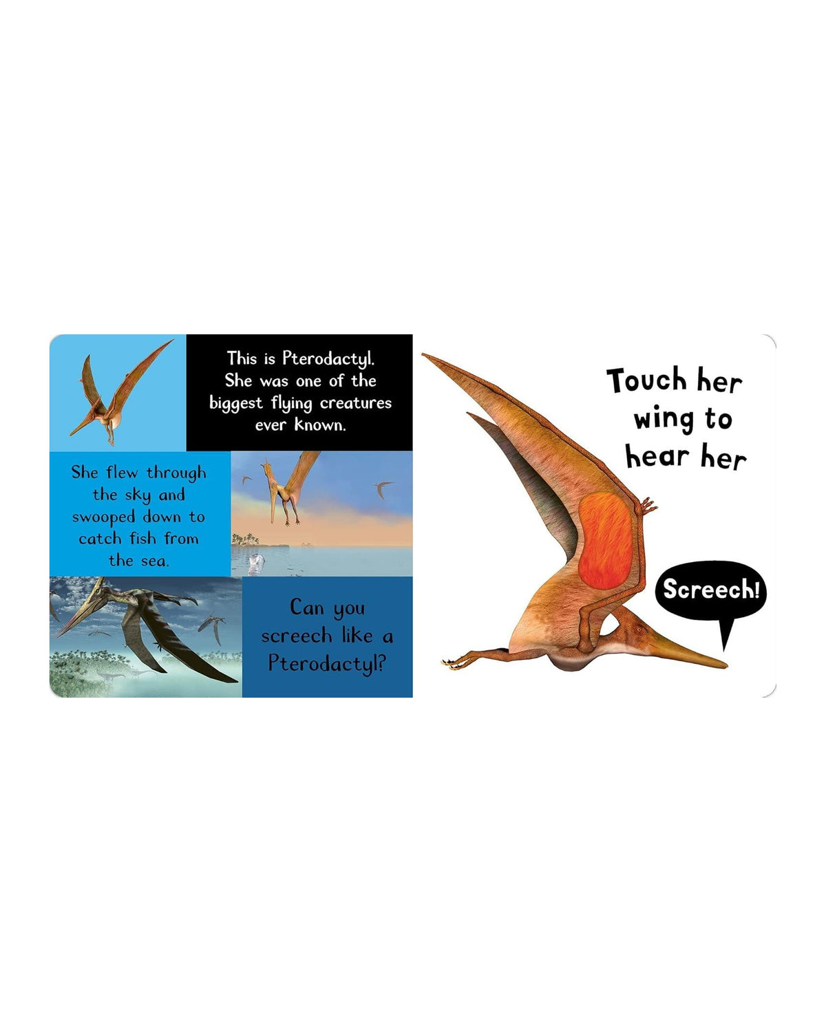 Noisy Dinosaurs iç sayfası, kanadında dokunsal turuncu alan bulunan uçan Pterodactyl