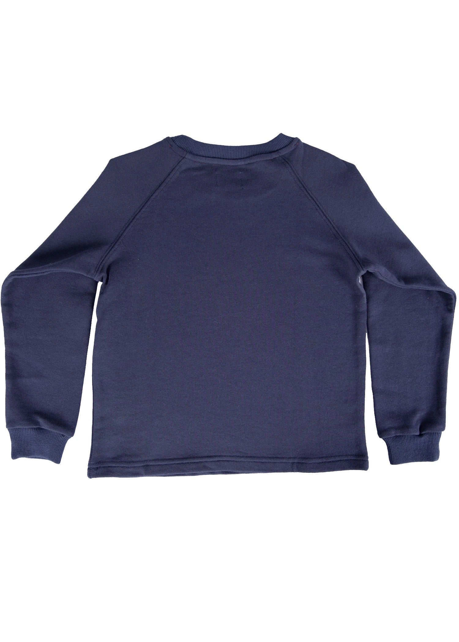 Organik Pamuk Doğa Baskılı Lacivert Erkek Çocuk Sweatshirt