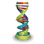 Sassi Junior setinden renkli 3D DNA sarmal modeli, kurulmuş hali