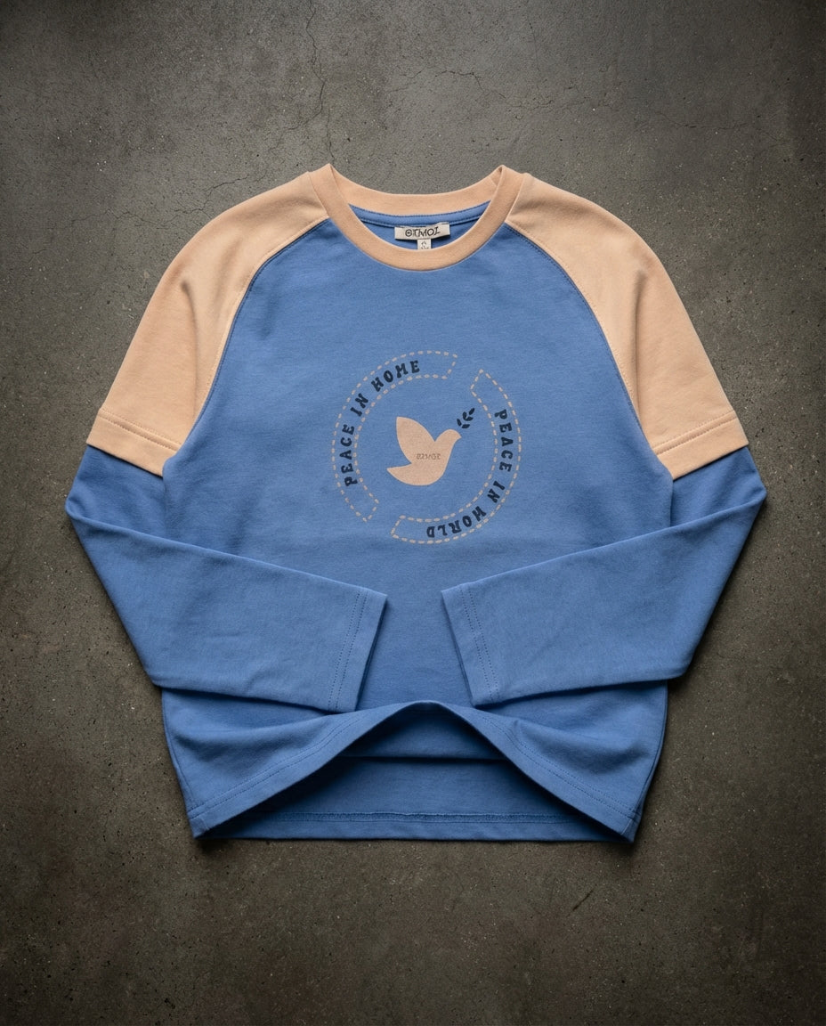 Koyu zemin üzerinde Ozmoz çift renkli reglan kollu organik erkek çocuk sweatshirt premium üstten çekim