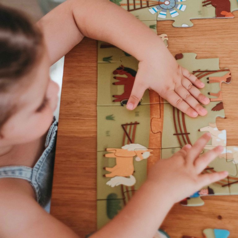 Q-Box: Pony Dünyası - 40 Parça Puzzle, Kitap ve 10 Figürlü Eğitim Seti