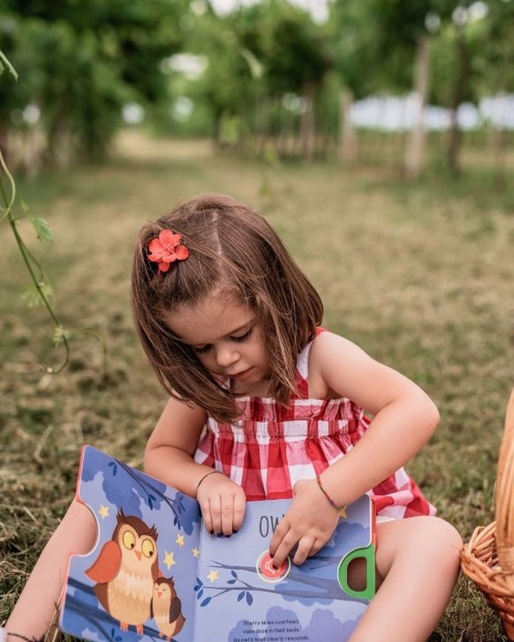 Bahçede çimenlere oturmuş kız çocuğu Sound Books The Wood kitabını okuyor
