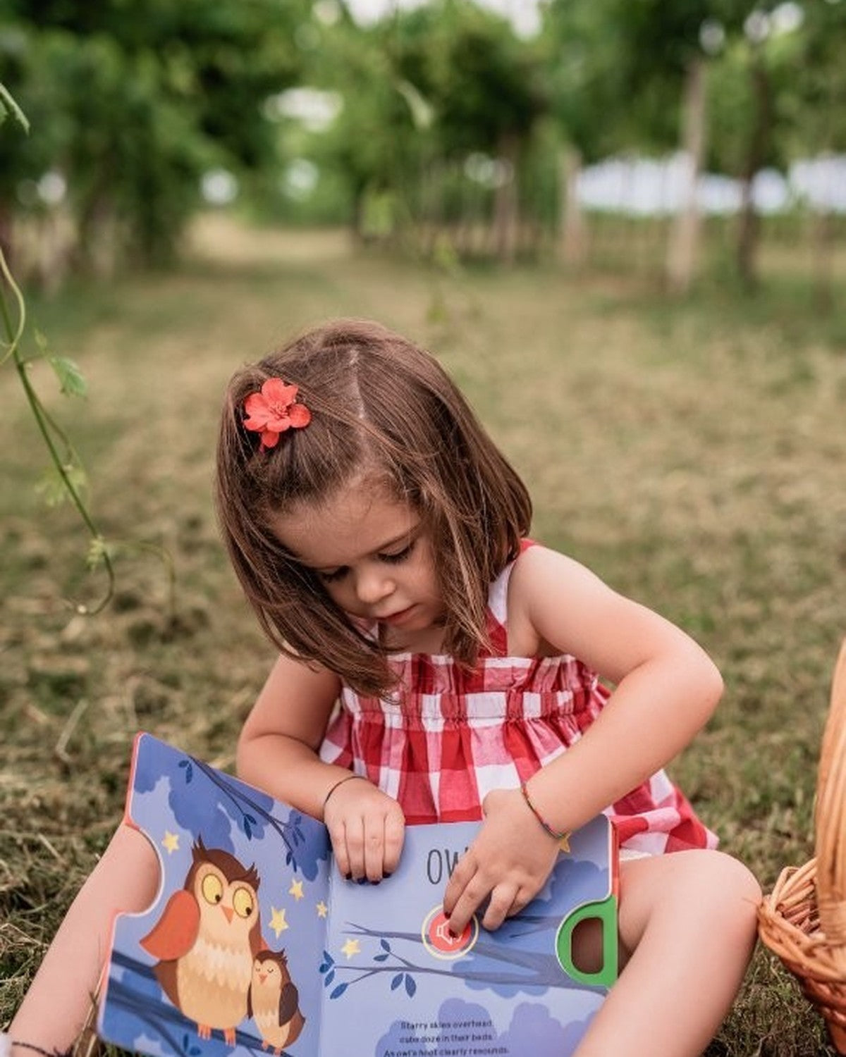 Bahçede çimenlere oturmuş kız çocuğu Sound Books The Wood kitabını okuyor