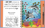 Magic Water Colouring Kitabı – Woof and Meow: Baby Animals | Yeniden Boyanabilir Büyülü Hayvan Kitabı