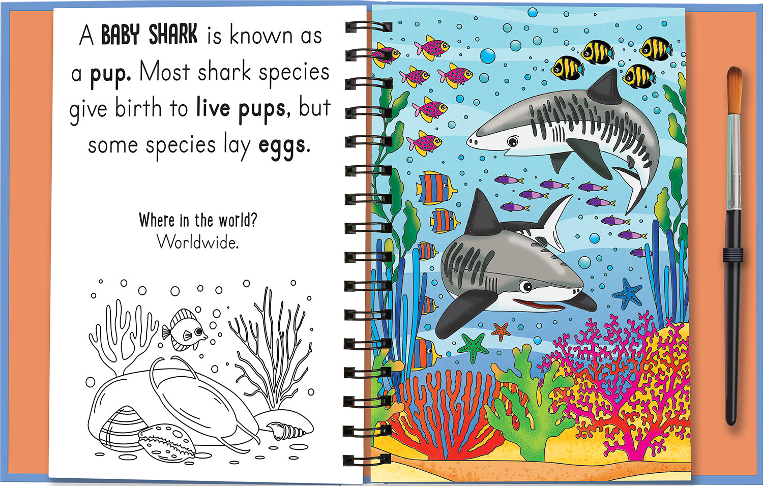 Magic Water Colouring Kitabı – Woof and Meow: Baby Animals | Yeniden Boyanabilir Büyülü Hayvan Kitabı