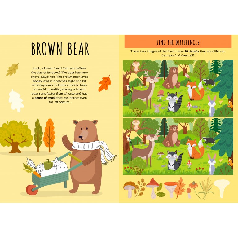 Stickers and Activities: The Forest – Orman Hayvanları Temalı Stickerlı Etkinlik Kitabı (3+ Yaş)