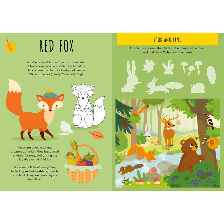 Stickers and Activities: The Forest – Orman Hayvanları Temalı Stickerlı Etkinlik Kitabı (3+ Yaş)